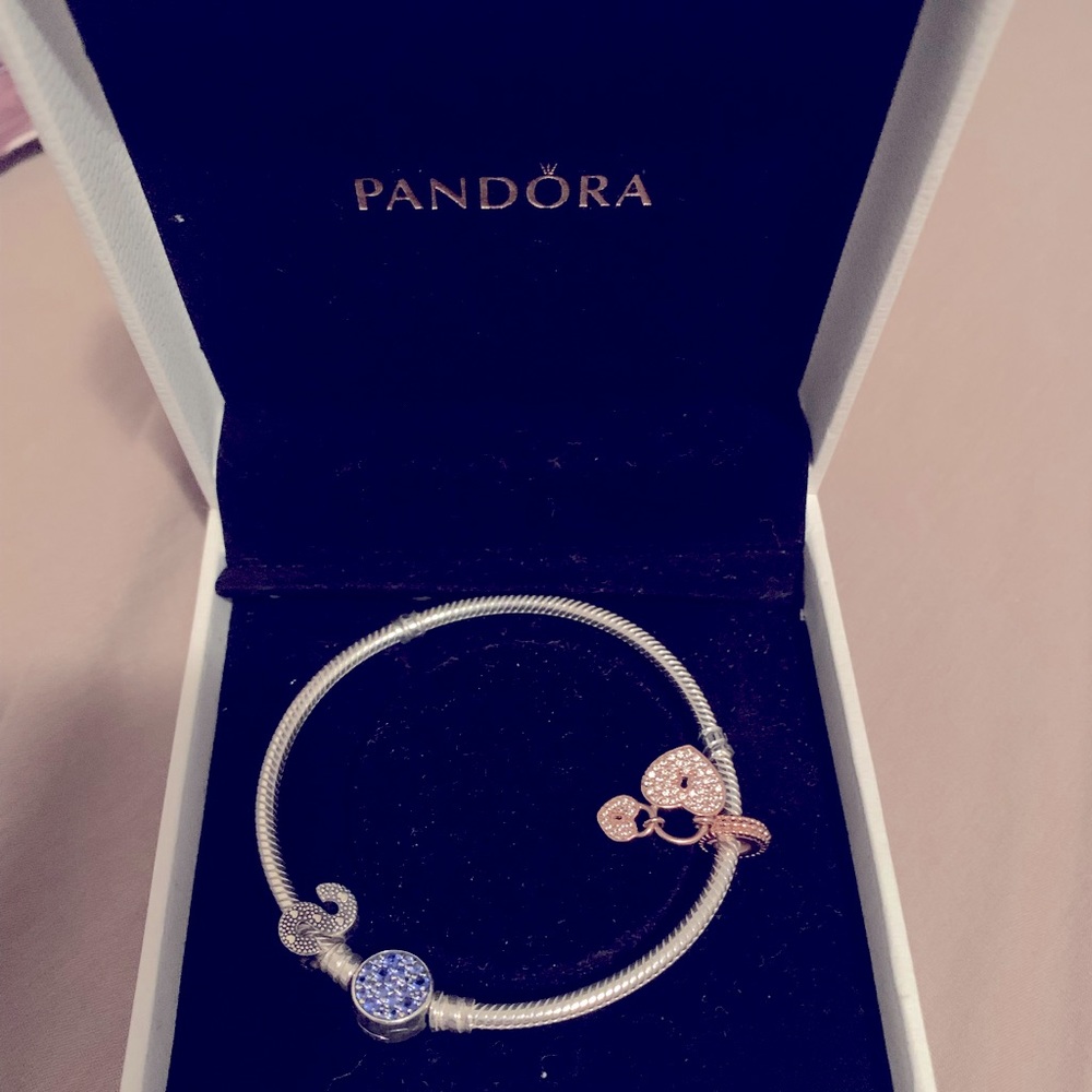 Bracelet and charms from Pandora